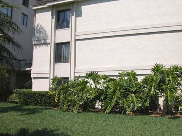 ISLA DEL SOL CONDO Gallery 04