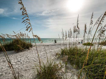 SUNSET BEACH Gallery 02