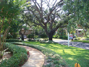  JUNGLE SHORES HOME Gallery 10