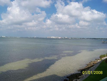 DOLPHIN CAY   Gallery 10