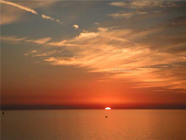 SILVER SANDS Gallery 05