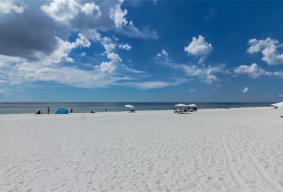Sunny Shores