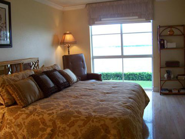 BACOPA BAY Gallery 10