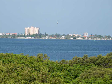 DOLPHIN CAY Gallery 10