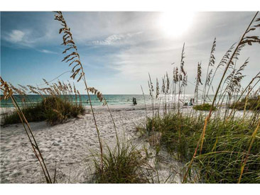 THE GRANDE ON SAND KEY Gallery 13