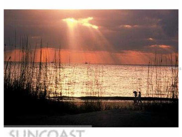 THE GRANDE ON SAND KEY Gallery 18