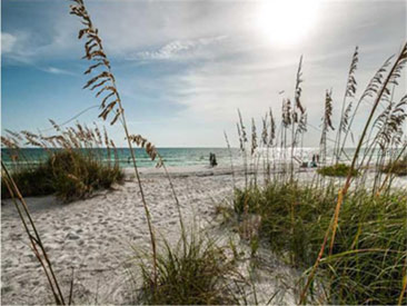 SILVER SANDS Gallery 03