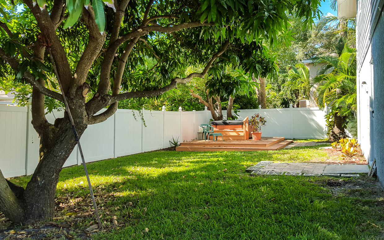 Belleair Beach Gallery 25