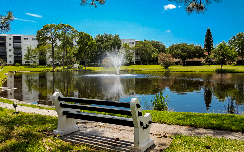 Terrace Park of Five Towns