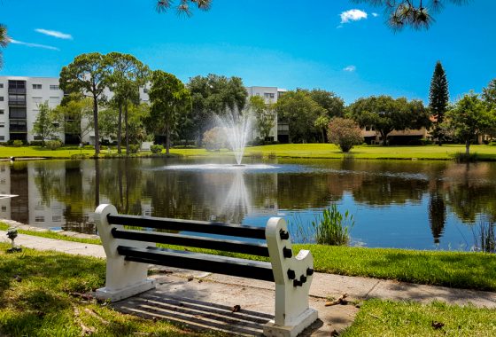 Terrace Park of Five Towns